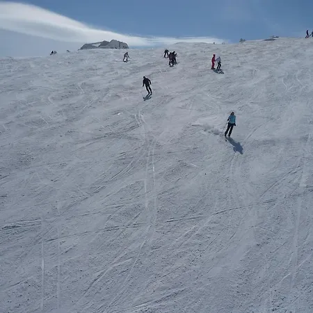 Bed and breakfast Lala 3*